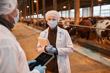 Similar image 20789042