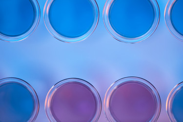 Similar image 20798287