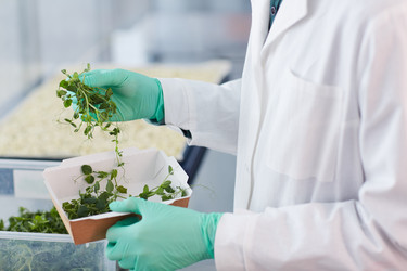 Similar image 20805549