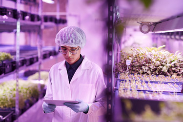 Similar image 20808939