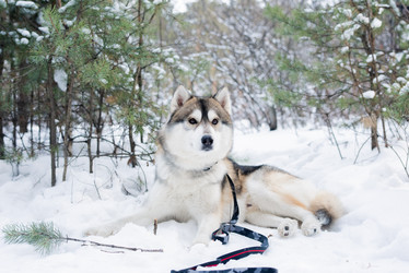 Similar image 20795802