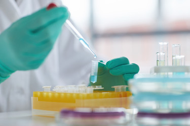 Similar image 20865488