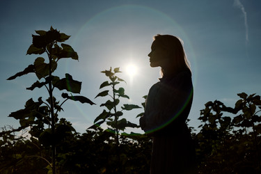 Similar image 20811089