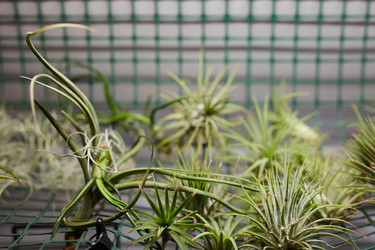 Similar image 20803790