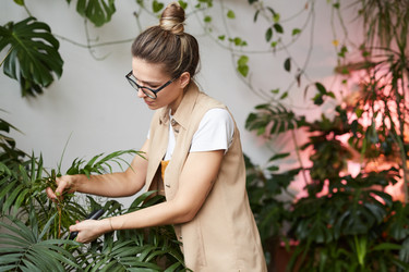 Similar image 20804254