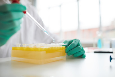 Similar image 20874503