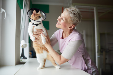 Similar image 20792476