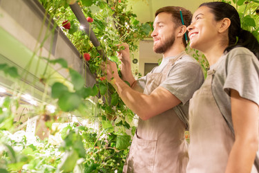 Similar image 20827954