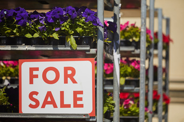 Similar image 20824929