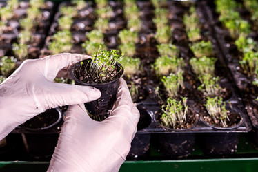 Similar image 20868471