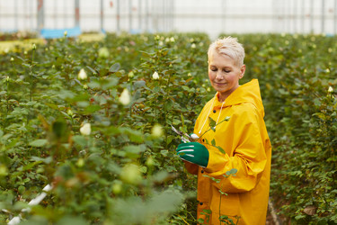 Similar image 20832395