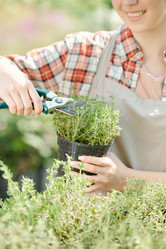 Similar image 20829109