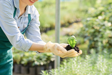 Similar image 20851571