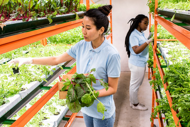 Similar image 20857819