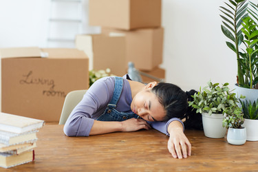 Similar image 20831577