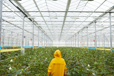 Similar image 20817618