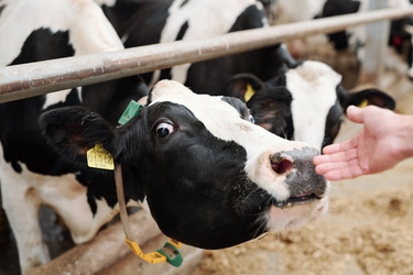 Similar image 20876923