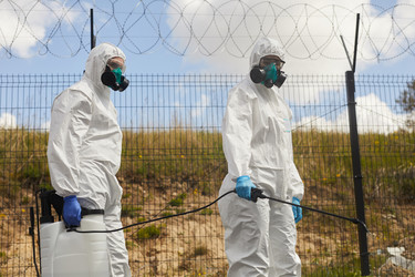 Similar image 20811840