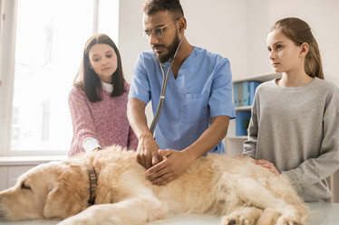 Similar image 20868337