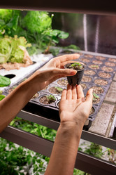 Similar image 20794912