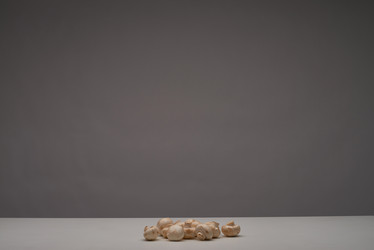 Similar image 20800447