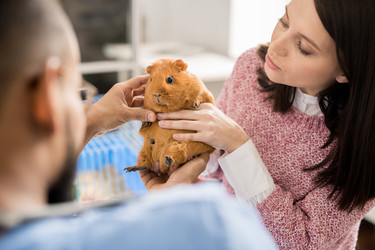 Similar image 20881944