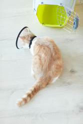 Similar image 20818591