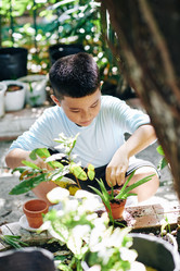 Similar image 20801082