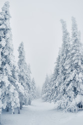 Similar image 20816268