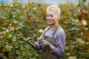 Similar image 20807620