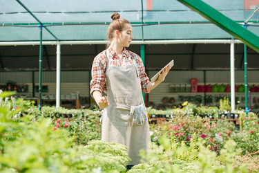 Similar image 20825516