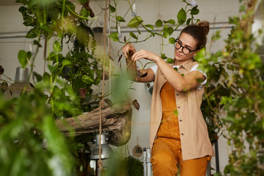 Similar image 20816421