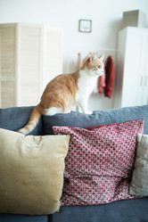 Similar image 20802944