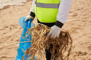 Similar image 20887284