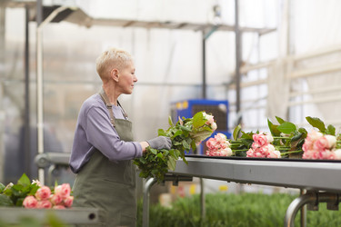 Similar image 20826165