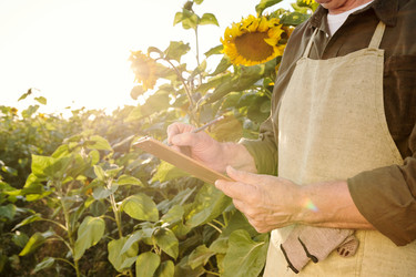 Similar image 20811491