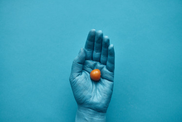 Similar image 20790701