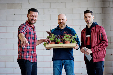 Similar image 20816096