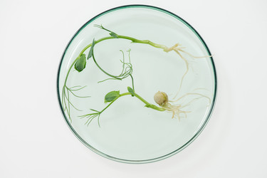 Similar image 20796141