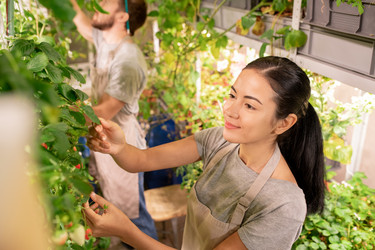 Similar image 20805464