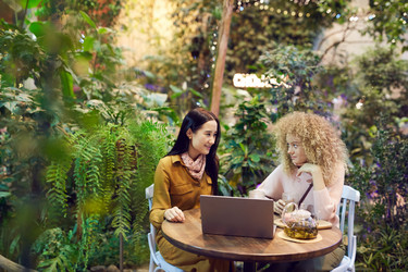 Similar image 20826005