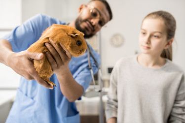 Similar image 20855242