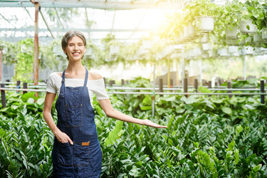 Similar image 20858443