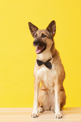 Similar image 20830019