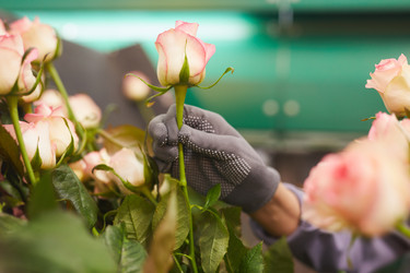 Similar image 20818775