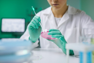 Similar image 20887903