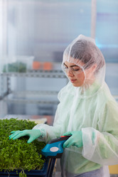 Similar image 20796286