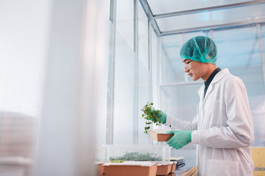 Similar image 20813677