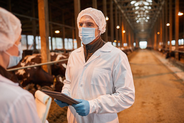 Similar image 20828900