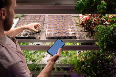 Similar image 20817006